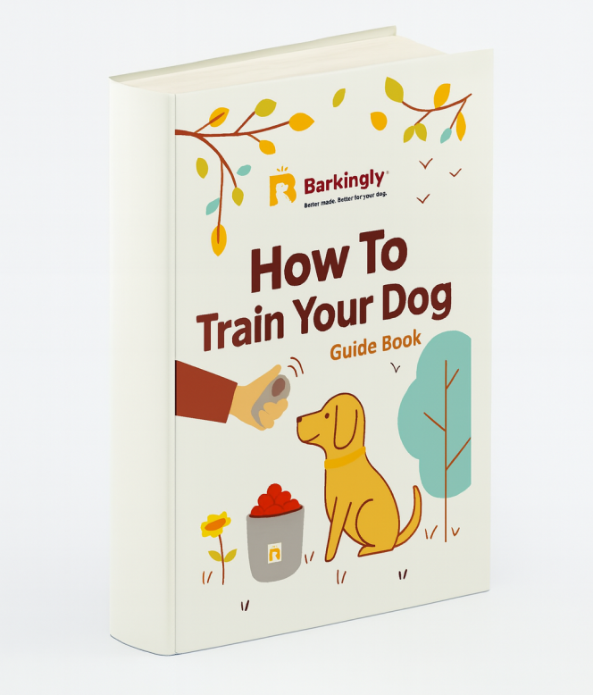 Ebook